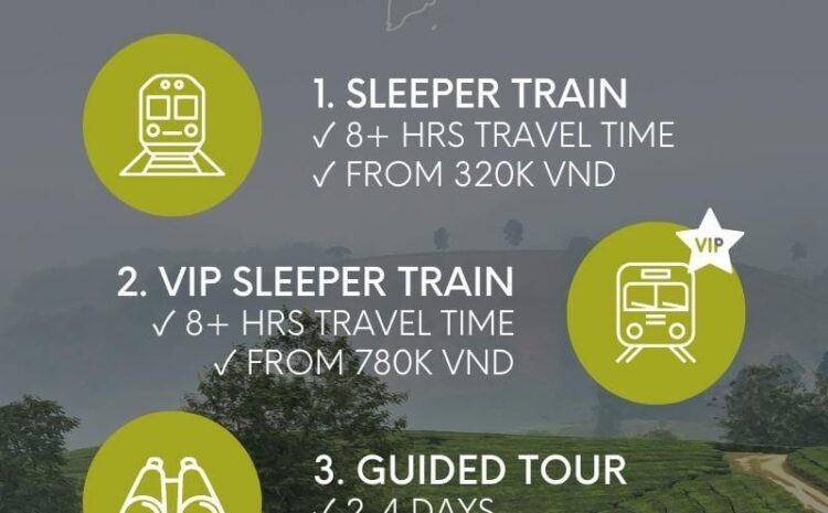  ฮานอย Vip ออกอะไร