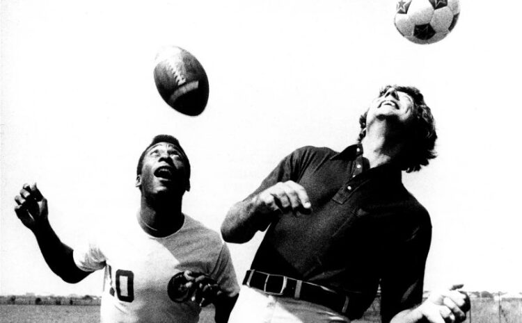  เล่น บอล ยัง ไง ให้ รวย