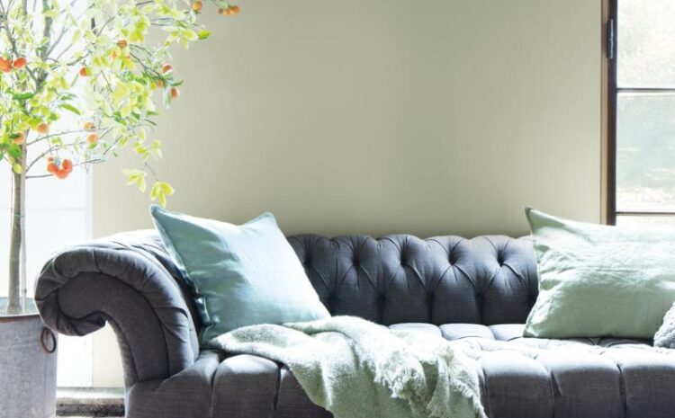  เว็บ หวย Settee Bet